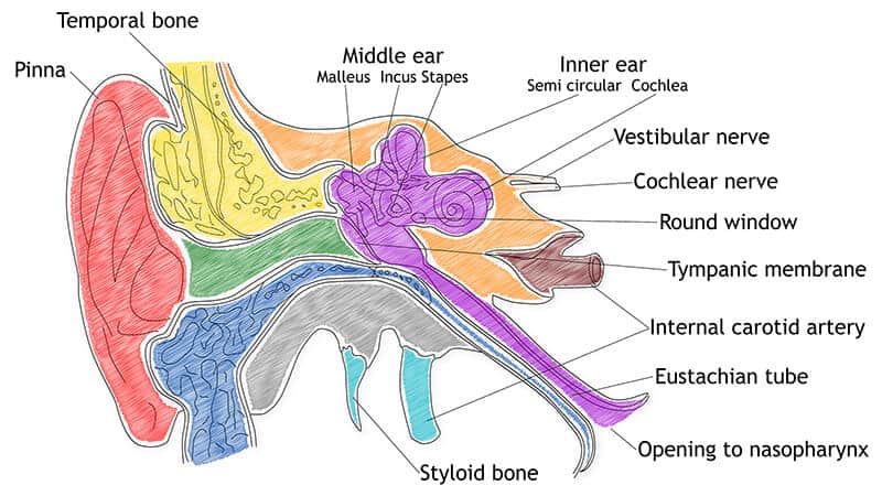 Tinnitus Treatment in Antioch, CA